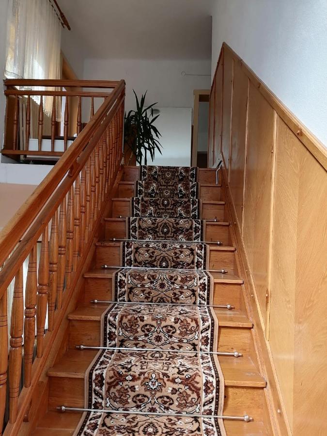 Casa De Oaspeti Orso Совата Екстериор снимка