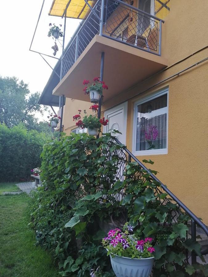 Casa De Oaspeti Orso Совата Екстериор снимка